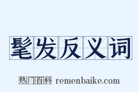 髦发反义词是什么意思的图片